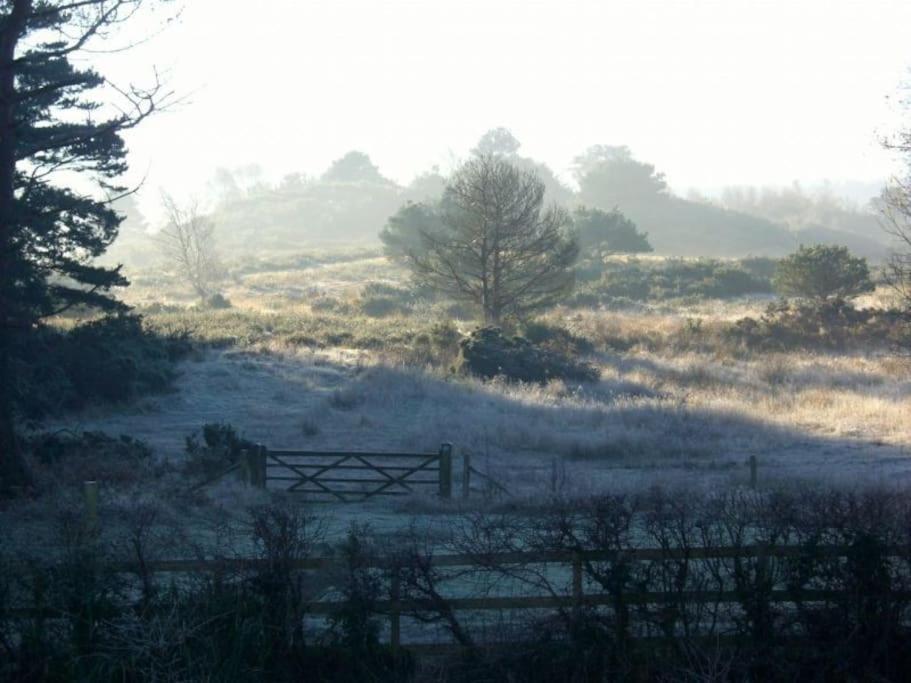 Home In Dorset, Near Jurassic Coast And Arne Wareham Bagian luar foto
