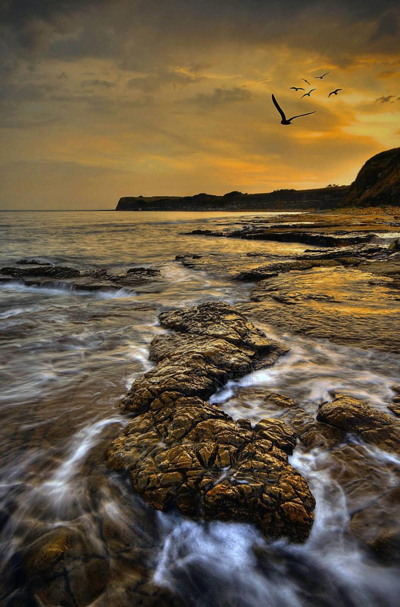 Home In Dorset, Near Jurassic Coast And Arne Wareham Bagian luar foto